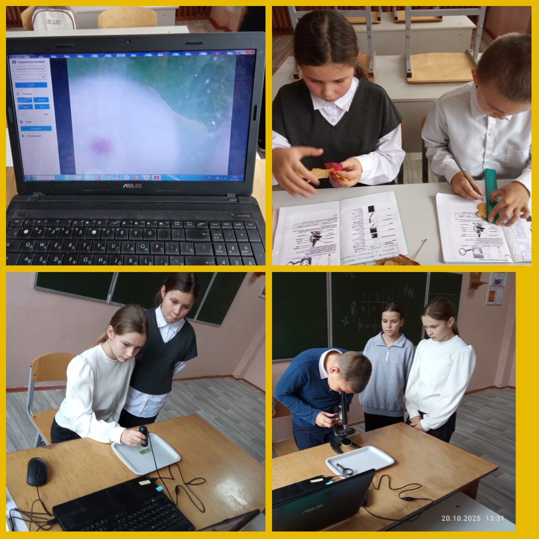 Практическая работа « Микроскопическое приключение : изучаем клетки помидора и плавающих туфелек».